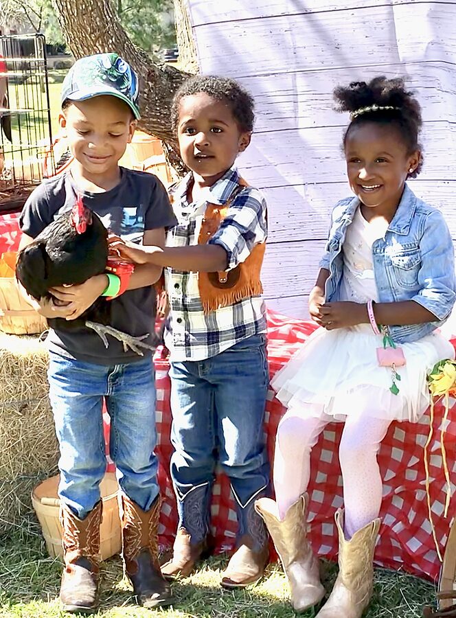 Three young children in cowboy boots and hats hold a black chicken at an outdoor petting-zoo table.