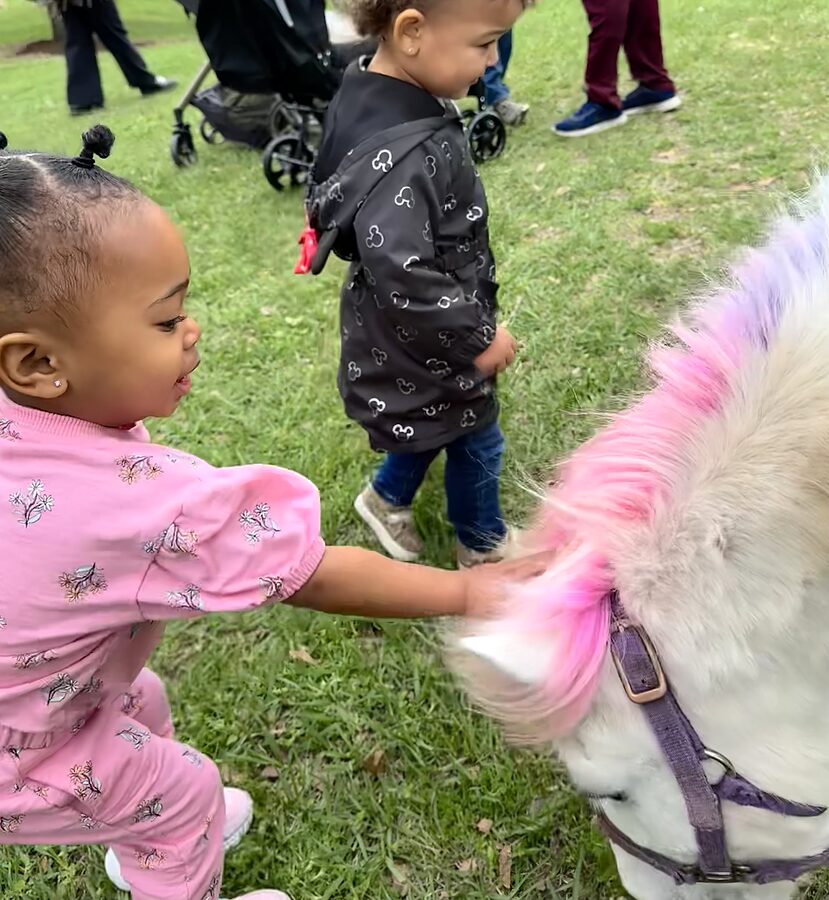 A toddler reaches out to pet a white pony with a pink-dyed mane on grass while another child stands nearby.